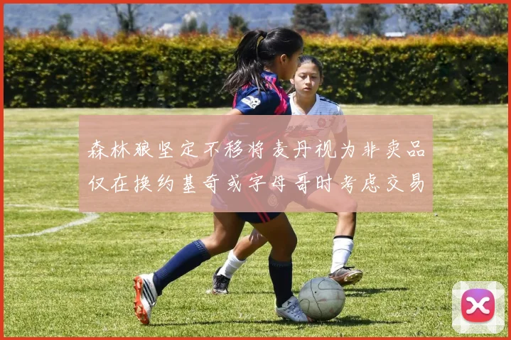 森林狼坚定不移将麦丹视为非卖品仅在换约基奇或字母哥时考虑交易