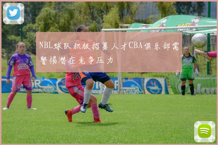 NBL球队积极招募人才CBA俱乐部需警惕潜在竞争压力
